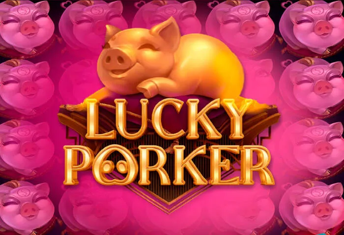 Baxterbet Casino: Premium Online-Glücksspiel mit fairen Bonusangeboten