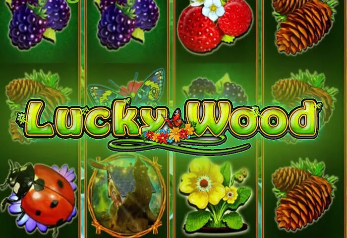 Win big with jackpots and bonuses at Baxterbet Online Casino.
