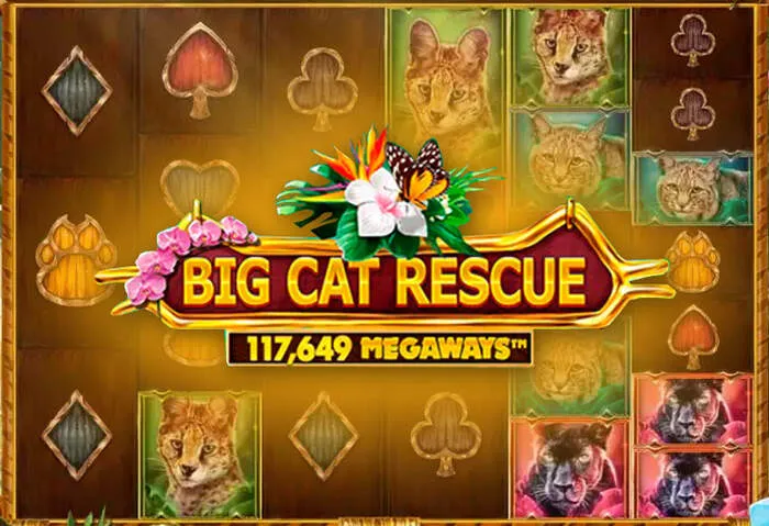 Claim your Baxterbet casino mobile free spins today