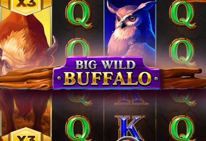 Baxterbet Casino: Premium Online-Glücksspiel mit fairen Bonusangeboten