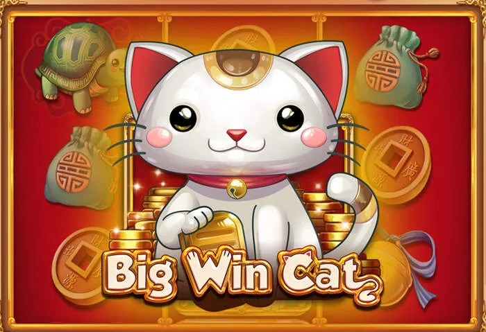 Benvenuto esclusivo Baxterbet Casino bonus generoso